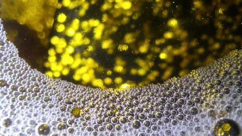 Underwater particles and bubbles, sparkles background footage Stock Footage 165085548