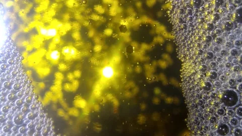 Underwater particles and bubbles, sparkles background footage Stock Footage 165085558