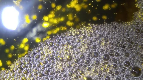 Underwater particles and bubbles, sparkles background footage Stock Footage 165085572