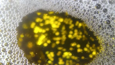Underwater particles and bubbles, sparkles background footage Stock Footage 165085578