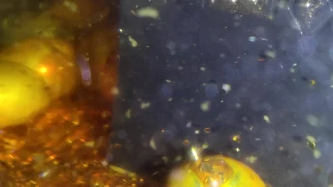 Underwater particles and bubbles, sparkles background footage Stock Footage 165085620