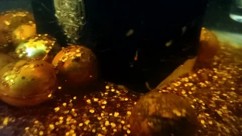 Underwater particles and bubbles, sparkles background footage Video stock 165085740