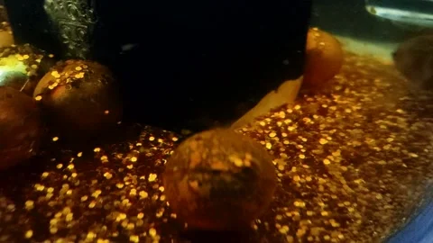 Underwater particles and bubbles, sparkles background footage Video stock 165085752