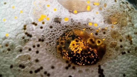 Underwater particles and bubbles, sparkles background footage Stock Footage 165085913