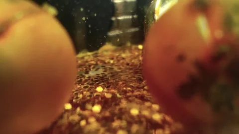 Underwater particles and bubbles, sparkles background footage Stock Footage 165085945