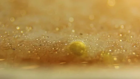 Underwater particles and bubbles, sparkles background footage Stock Footage 165369015