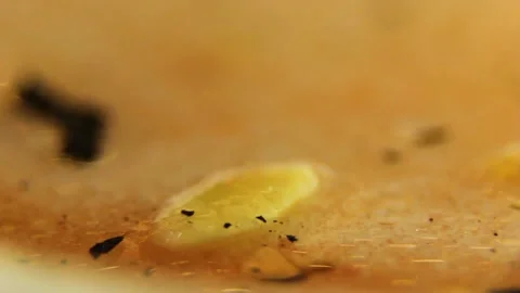 Underwater particles and bubbles, sparkles background footage Video stock 165369393