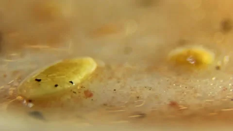 Underwater particles and bubbles, sparkles background footage Stock Footage 165369517