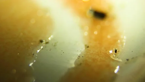 Underwater particles and bubbles, sparkles background footage Stock Footage 165369527