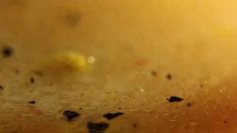Underwater particles and bubbles, sparkles background footage Stock Footage 165369557