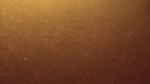 Underwater particles and bubbles, sparkles background footage Video stock 165370022