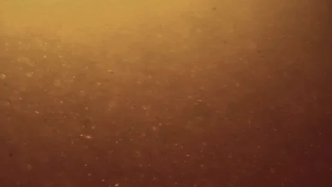 Underwater particles and bubbles, sparkles background footage Stock Footage 165397341