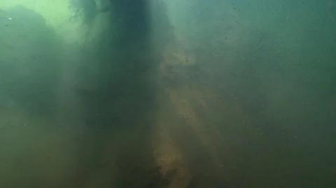 Underwater particles float in the river spectacular illuminated by sunlight Stock Footage 58244809