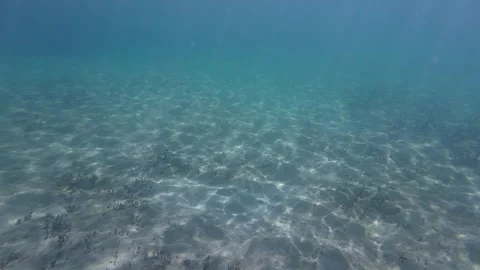 Underwater pattern Stock-Footage 293936769