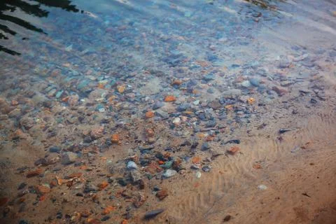 Underwater pebbles Stock Photos