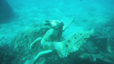 Underwater Pegasus Stock Footage 8241243