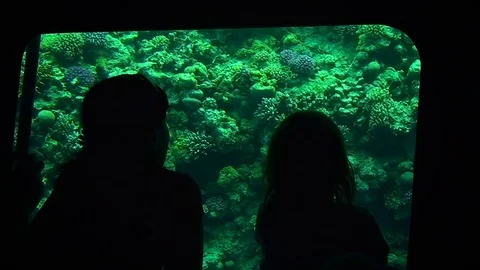 Underwater people Stock Footage 98679196