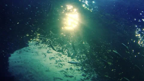 Underwater perspective looking up at the ocean surface with bright sunlight.. Vídeo Stock 341210164