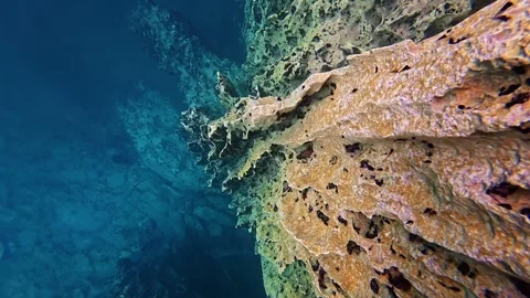 Underwater Philippines scuba diving in Coron, Palawan Stock Footage 302855209