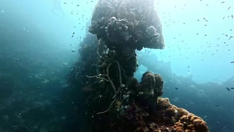 Underwater Philippines scuba diving in Coron, Palawan Stockbeeldmateriaal 302855328