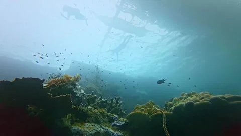 Underwater Philippines scuba diving in Coron, Palawan 스톡 동영상 302855514