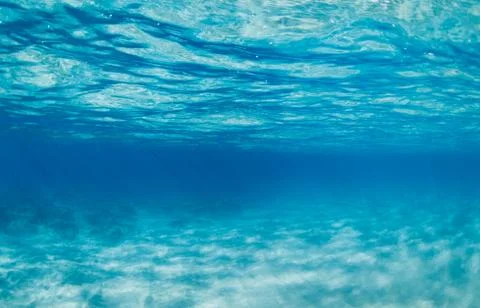 Underwater Stock Photos