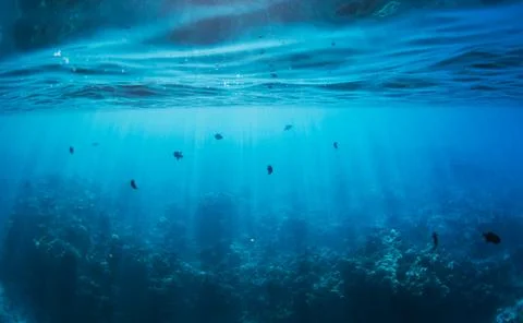 Underwater Stock Photos