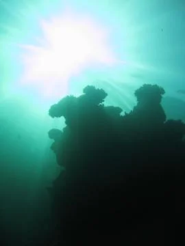 Underwater Stock Photos