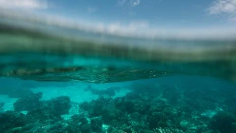 Underwater Stock Photos