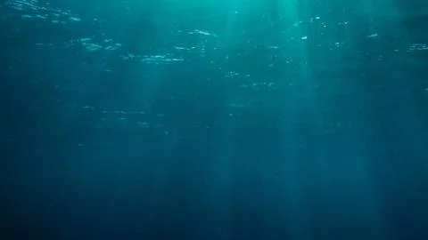 Underwater Stock Photos