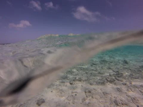 Underwater Stock Photos