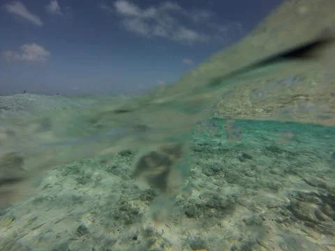 Underwater Stock Photos