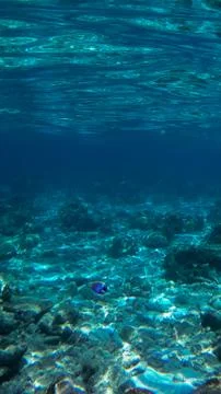 Underwater 库存照片