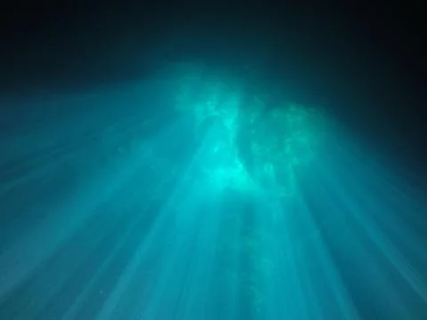 Underwater 写真素材