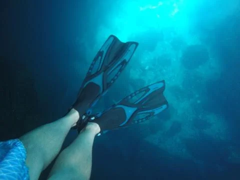 Underwater Stock Photos