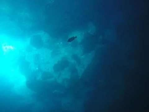 Underwater Stock Photos