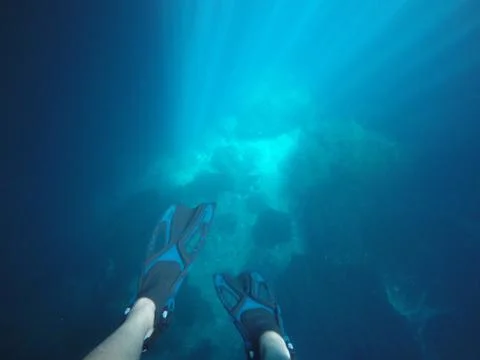 Underwater Stock Photos