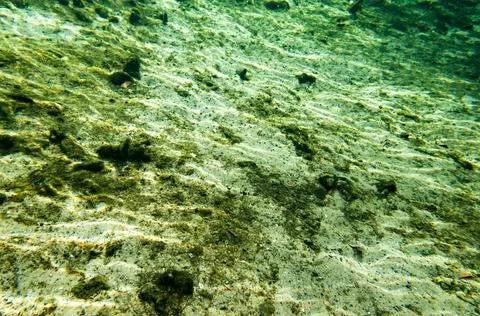 Underwater Stock Photos