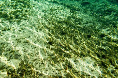 Underwater Stock Photos