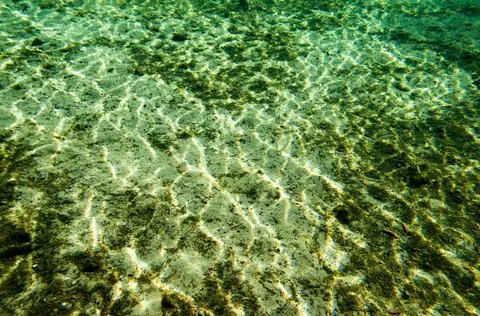 Underwater Stock Photos