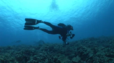 Underwater Photographer Stock Footage 5256260