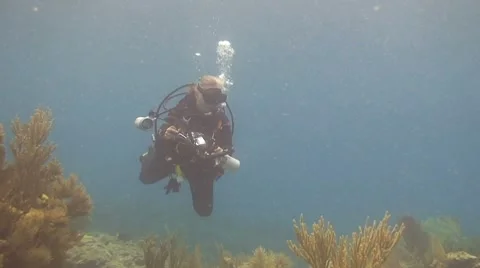 Underwater photographer Stock Footage 8749653
