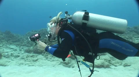 Underwater Photographer with her Camera Stock Footage 5257019