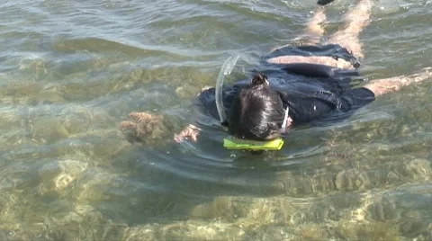 Underwater photogrraphy Stock Footage 7638711