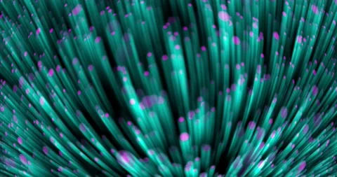 Underwater plants Stock Footage 140639750