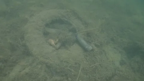 Underwater plastic waste at the bottom of a lake Stock Footage 340234570