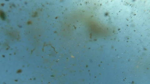 Underwater pollution, dirty current, mud floats downstream Stock Footage 280715496