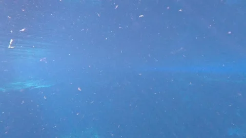 Underwater Pollution. Stock Footage 308491680