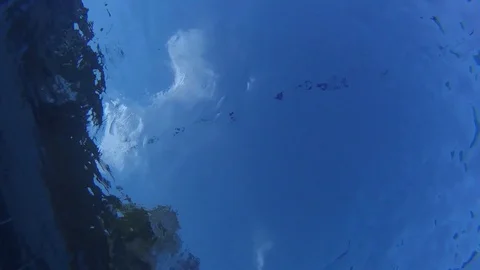 Underwater Pool GO PRO Video stock 91277639