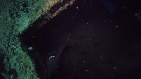 Underwater POV exploring inside the USS Spiegel Grove wreck Stock Footage 80438820